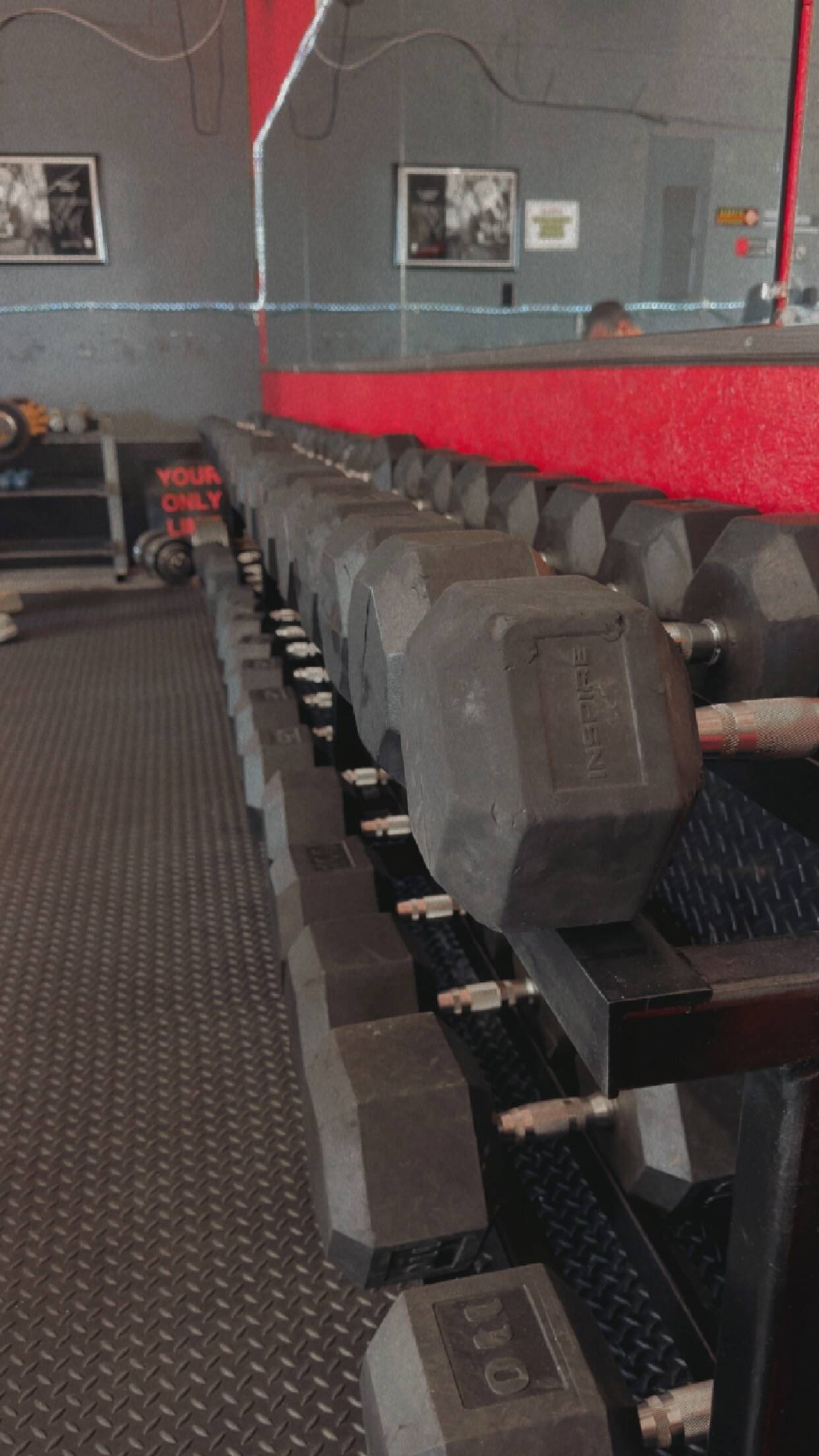Free Weights